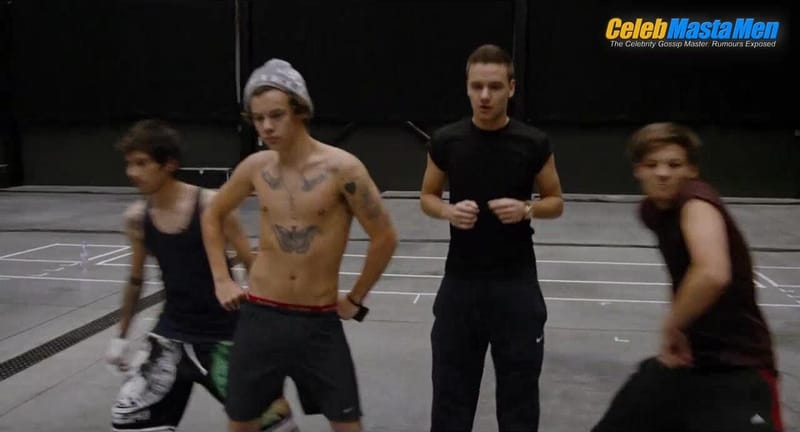 Zayn Malik and Harry Styles Shirtless, Sexy Scene from One Direction This Is Us