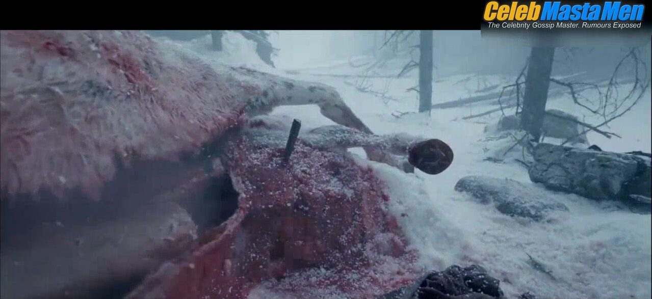 Leonardo Dicaprio Sexy Scene From The Revenant - Photo 1 of 5 photo 4